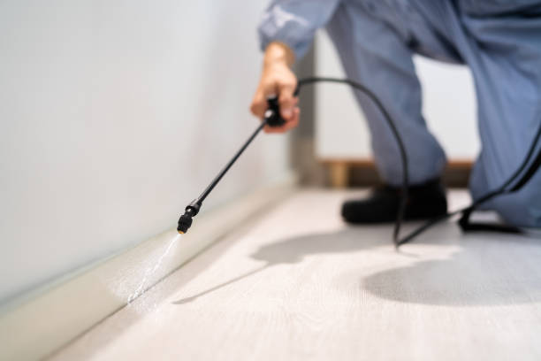 Licensed Termite Control service in Breckenridge, MI - Nex Pest Control