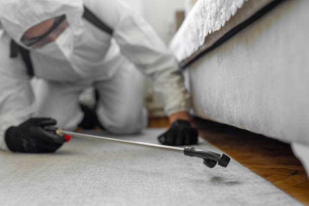 Professional Termite Control technician working in Breckenridge, MI