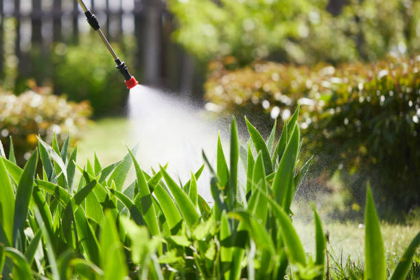 24/7 Emergency Termite Control experts in Breckenridge, MI