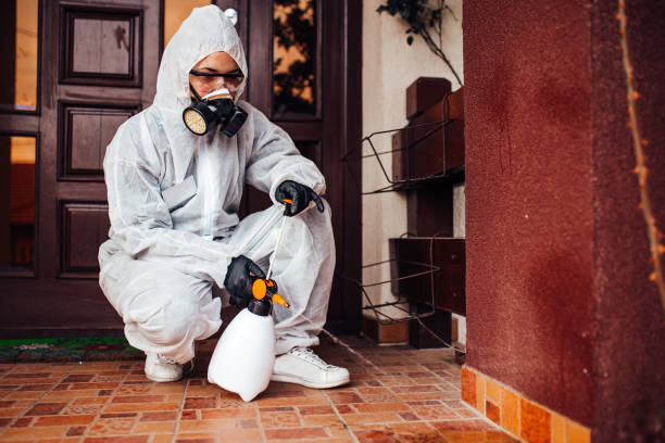 Reliable Termite Control contractor in Breckenridge, MI by Nex Pest Control