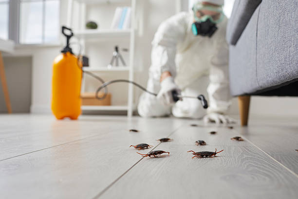 Trusted Bed Bug Control service in Breckenridge, MI - Nex Pest Control